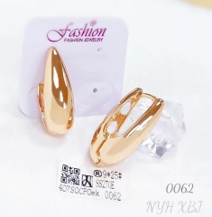 Earrings Gold Irregular