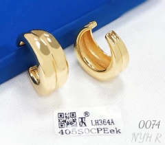 Earrings Gold Glossy