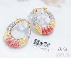 Earrings Colorblock