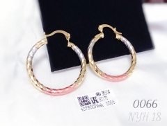 Earrings Colorblock