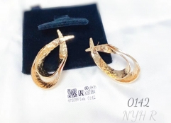 Earrings Gold Glossy