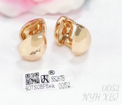 Earrings Gold Glossy