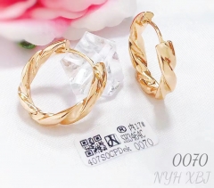 Earrings Gold Irregular