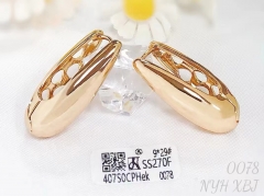 Earrings Gold/Silver Glossy