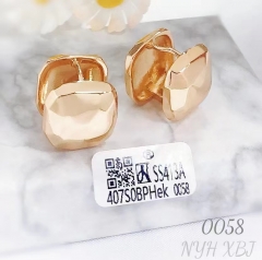 Earrings Gold Glossy