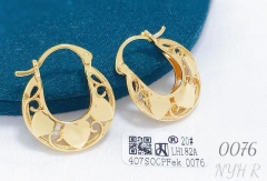 Earrings  Gold/Silver Hollow