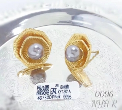 Earrings Gold/Silver  Popular