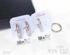 Earrings Silver polished