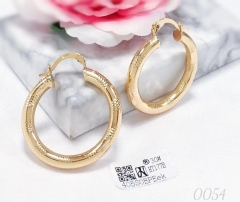 Earrings Gold  Glossy