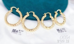 Earrings Gold Irregular