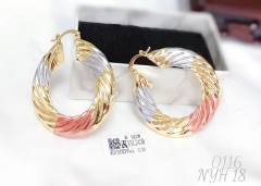 Earrings Colorblock Glossy