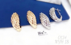 Earrings Irregular