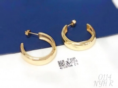 earrings gold bright