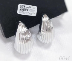 Earrings Silver Irregular