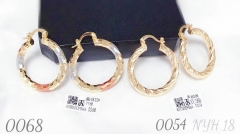 Earrings Simple Irregular