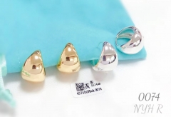 Earrings Irregular polished style