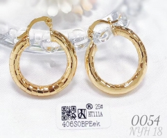 Gold earrings irregular