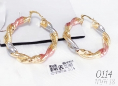 Earrings Irregular color matching