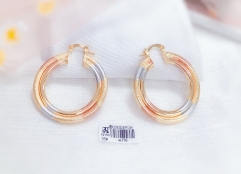 Oil painting color matching simple earrings