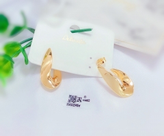 Gold irregular polished earrings