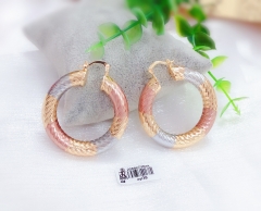 Oil painting color matching glossy earrings