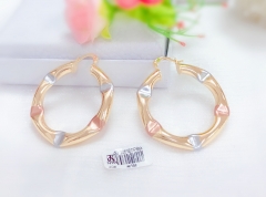 Oil painting style irregular earrings