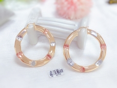 colo glossy earring