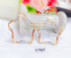 star shape earring