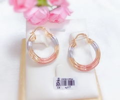 daily wear  earring