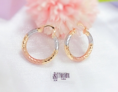 High-end daily wear earring