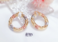 glossy simple earring