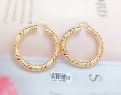 Double twist hoop earrings