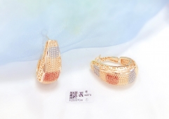 Classic Style Polished Earrin