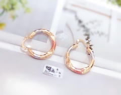 Irregular Smooth Earrings