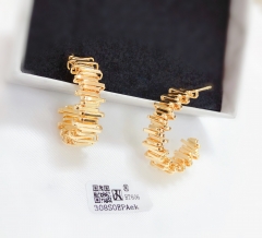 Irregular popular earrings