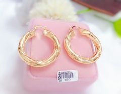 Gold polished earrings