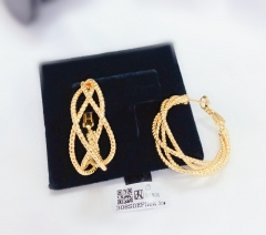 Irregular popular earrings