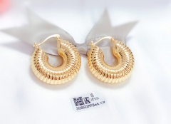 Irregular simple earrings