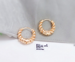 Gold Glossy Fashion Earrings