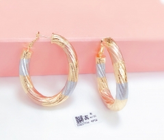 Arc Delicate Earrings