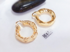 Gold polished earrings