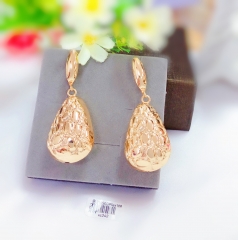 Irregular pendant glossy earrings