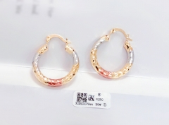 Arc all-match earrings