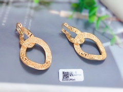 Irregular shape earrings