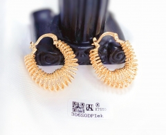 Irregular fashion earrings