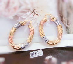 Oval Arc Smooth Earrings