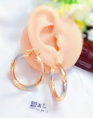 glossy dazzling earring