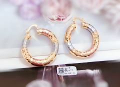 Arc Smooth Dazzling Earrings