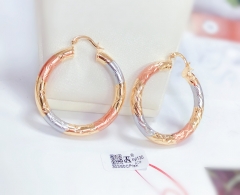 Arc oil painting  glossy earring