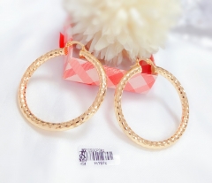 Simple and elegant earrings